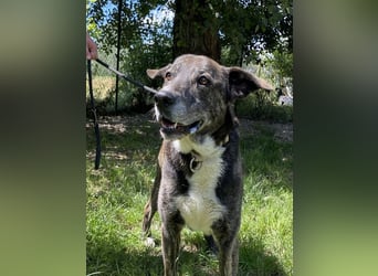 Lola - Das Herz hat seine Gründe