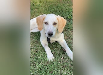 Deddy -  Mit neugierigen Pfoten ins Leben