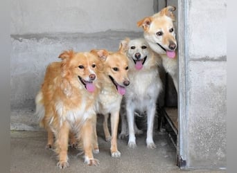 Ariana - lange sitzen sie schon da und haben es schwer