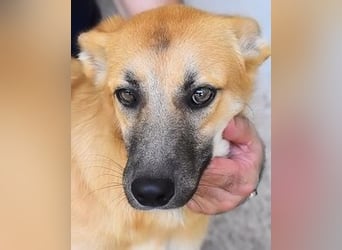 Osita - "Und wenn sie nicht weg sind.....