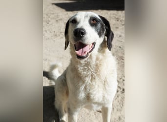 Marni - Bereit für ihr eigenes kleines Glück