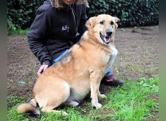 Kairo - möchte einfach nur genießen