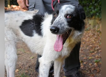 Jasmine - Wer nicht neugierig ist, erfährt nichts!