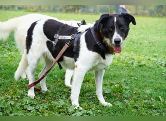 Coraggio - Schritt für Schritt ins Leben zurück