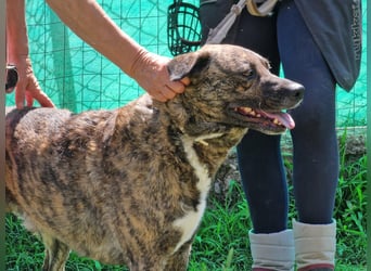 Ludwig - Nur Mädchen erlaubt