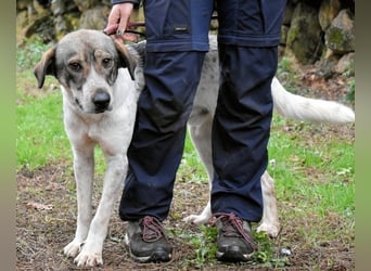 Helder - spricht für sich