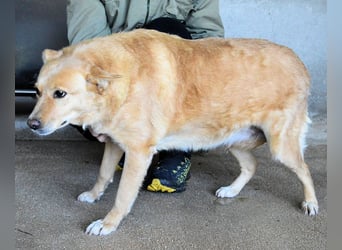 Ariana - lange sitzen sie schon da und haben es schwer