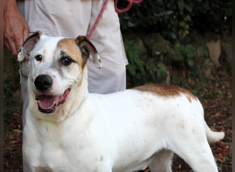 Argo - hungrig auf Leben und Er-Lebnisse