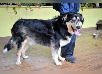 Oliverio - ohne Anklage hinter Gittern