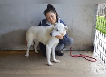 Dafnielle - Zukunft gesucht