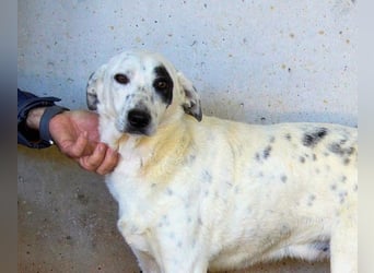 Arunny - aller guten Dinge sind drei