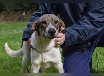 Helder - spricht für sich