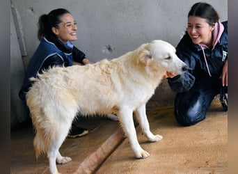 Sadye - Liebevolle Zuwendung....