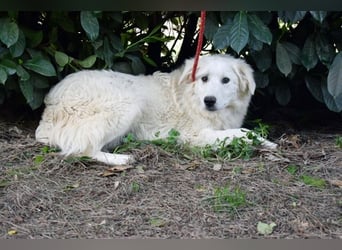 Franky - bereit für das Abenteuer Leben