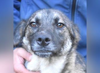 Silvana - im Eilschritt nach Hause?