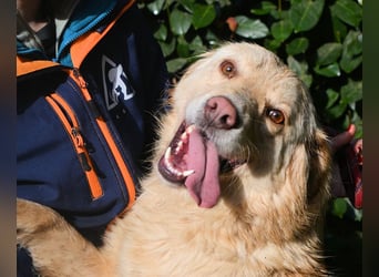 Rodman - läuft sich die Seele wund