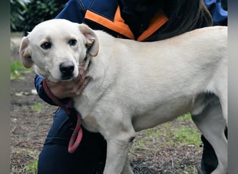 Hughie - macht ein Freundschaftsangebot