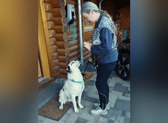 Marni - Dieses Herz hat schon zu lange gewartet