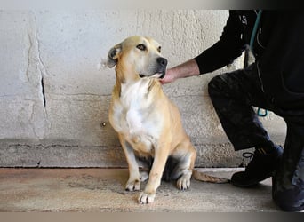 Oxira - Aus «wollen» wird «können»