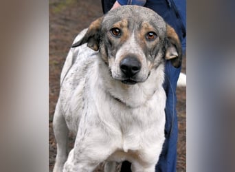 Helder - spricht für sich