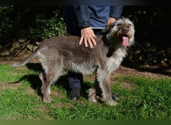Minnie - Nach 7 Jahren Unglück endlich 7 Jahre Glück?