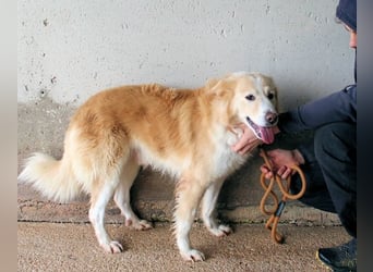 Tirvian - Kurz Alarm, dann Charme