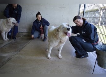 Bailoch - Zeig mir doch bitte...