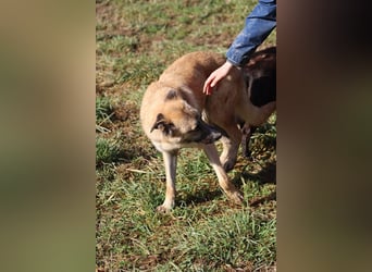 Life - Life will mehr vom Leben - und das zeigt er deutlich!