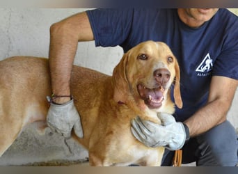 Dioneo - nur ein....!