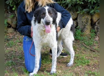 Jessie - Wer nicht neugierig ist, erfährt nichts