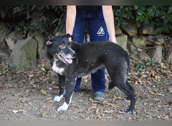 Elowen - eine Tänzerin im Mondlicht, bis die Sonne die Träume verjagt