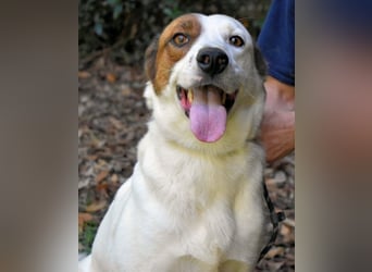 Miah - wohn"haft" in einem Hundelager