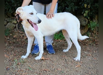 Dafnielle - Zukunft gesucht