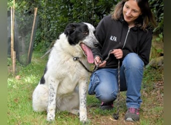 Jasmine - Wer nicht neugierig ist, erfährt nichts!