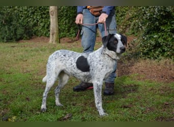 Flicka - möchte noch viel erleben