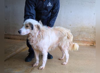 Bailoch - Zeig mir doch bitte...