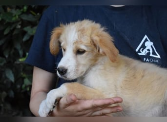 Marula - ...und Mama konnte es dir nicht zeigen