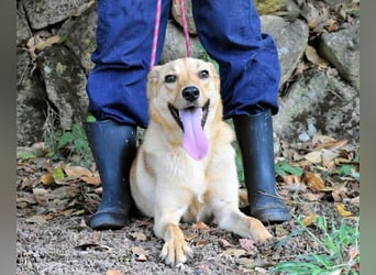 Lilyrose - als kleine Muschel ins Glück!