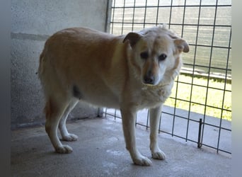 Addison - lange sitzen sie schon da und haben es schwer