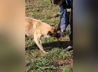 Life - Life will mehr vom Leben - und das zeigt er deutlich!