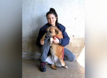 Sunitha - Drei Leben. Drei Chancen.