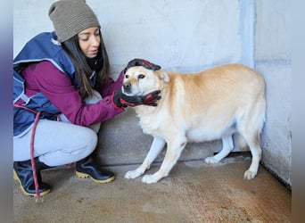 Addison - lange sitzen sie schon da und haben es schwer