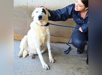 Arunny - aller guten Dinge sind drei