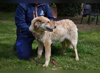 Ligorio - Zwölf, elf, zehn ... eins - Ligorio