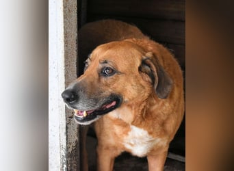 Kemp - Runder Rundum-Schatz