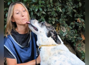 Lisanne - manchmal muss man auf sein Glück warten