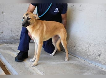 Olympia - "Und wenn sie nicht weg sind....