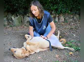 Lilyrose - als kleine Muschel ins Glück!