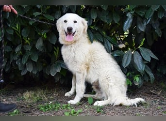 Florenz - bereit für das Abenteuer Leben