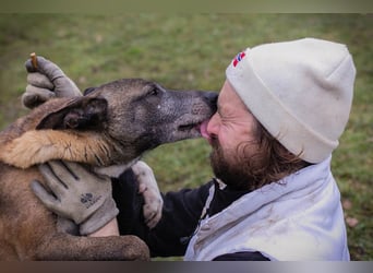 Grisu: Warum sieht ihn niemand?